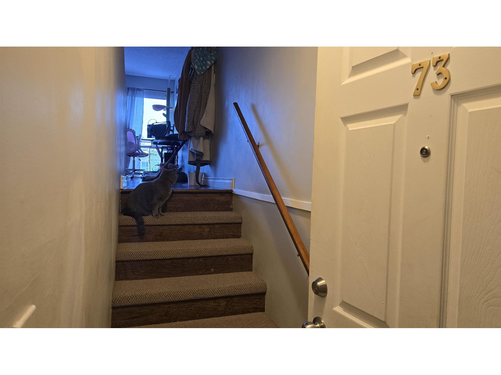 73 17712 60 Avenue Property Photo 3