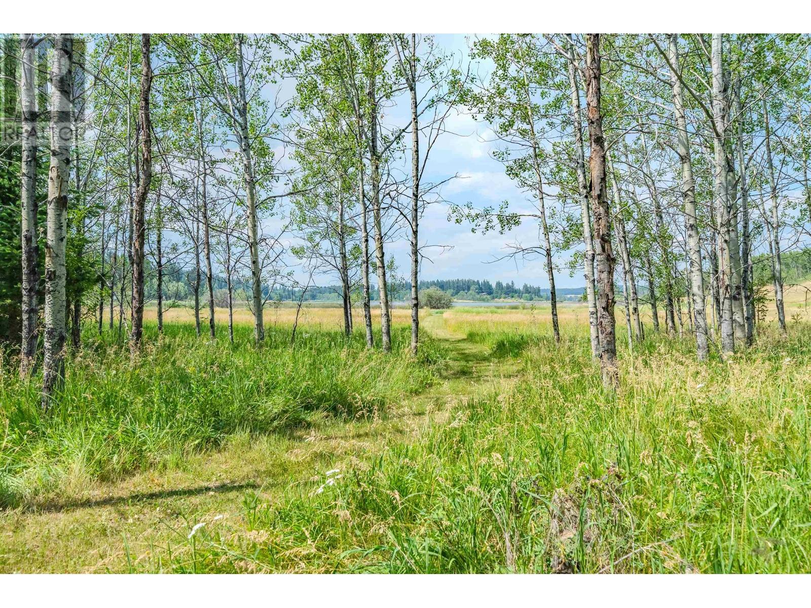 5371 Kallum Drive Property Photo 18