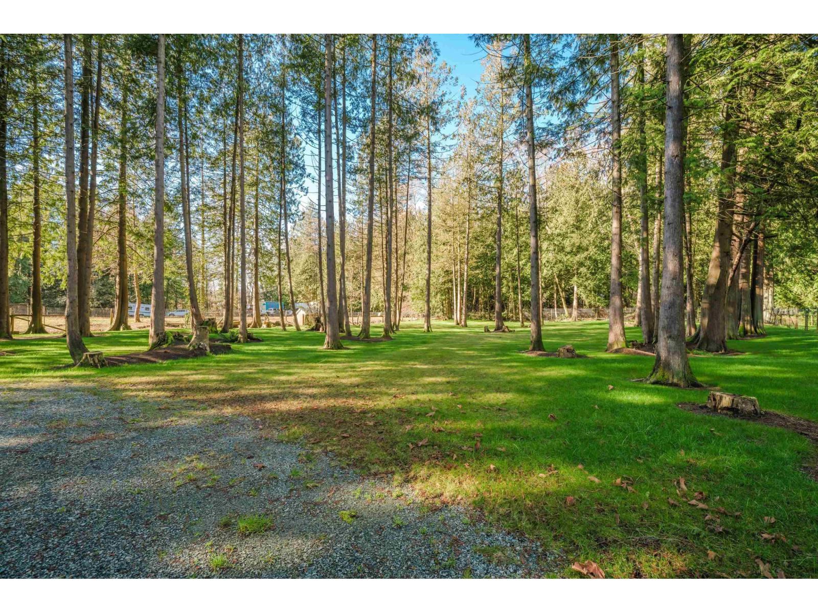 3955 248 Street Property Photo 3