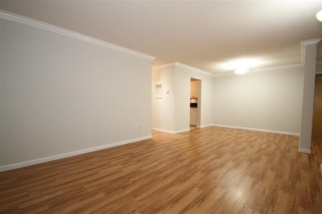 110 10698 151a Street Property Photo 6
