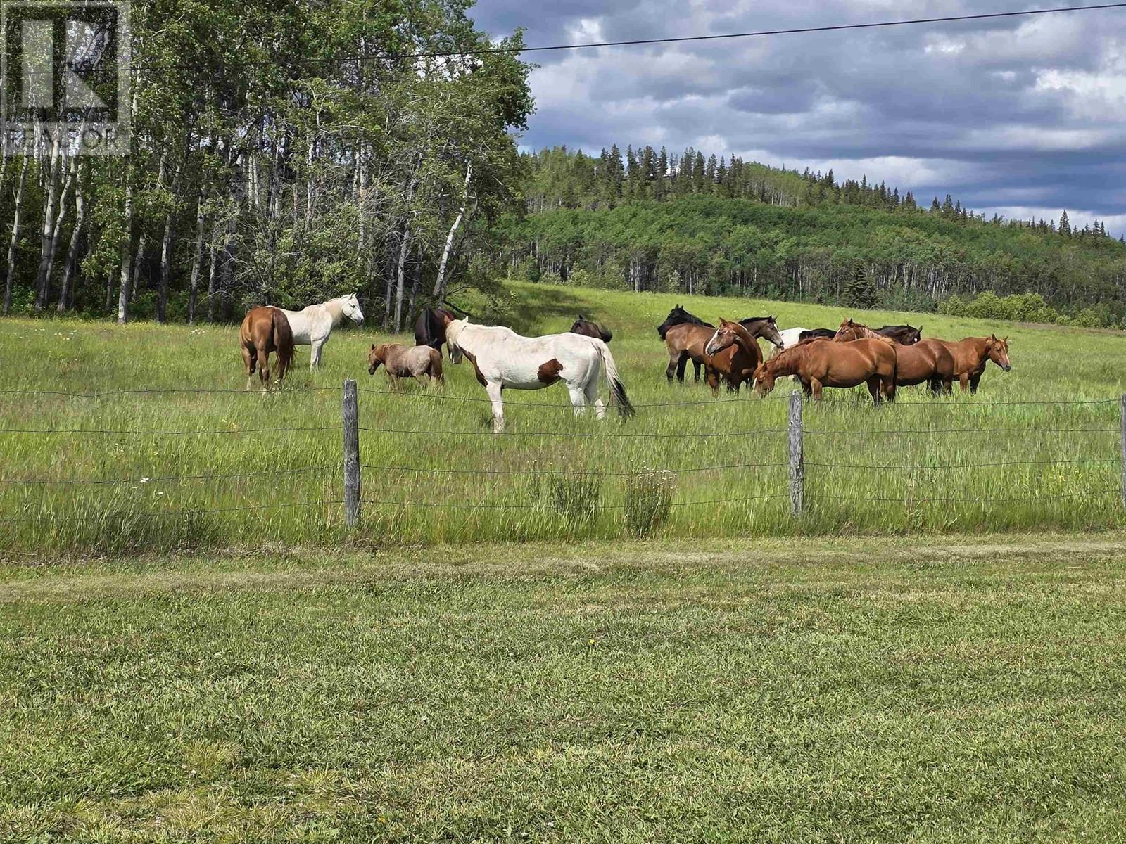6219 Brown Road Property Photo 33