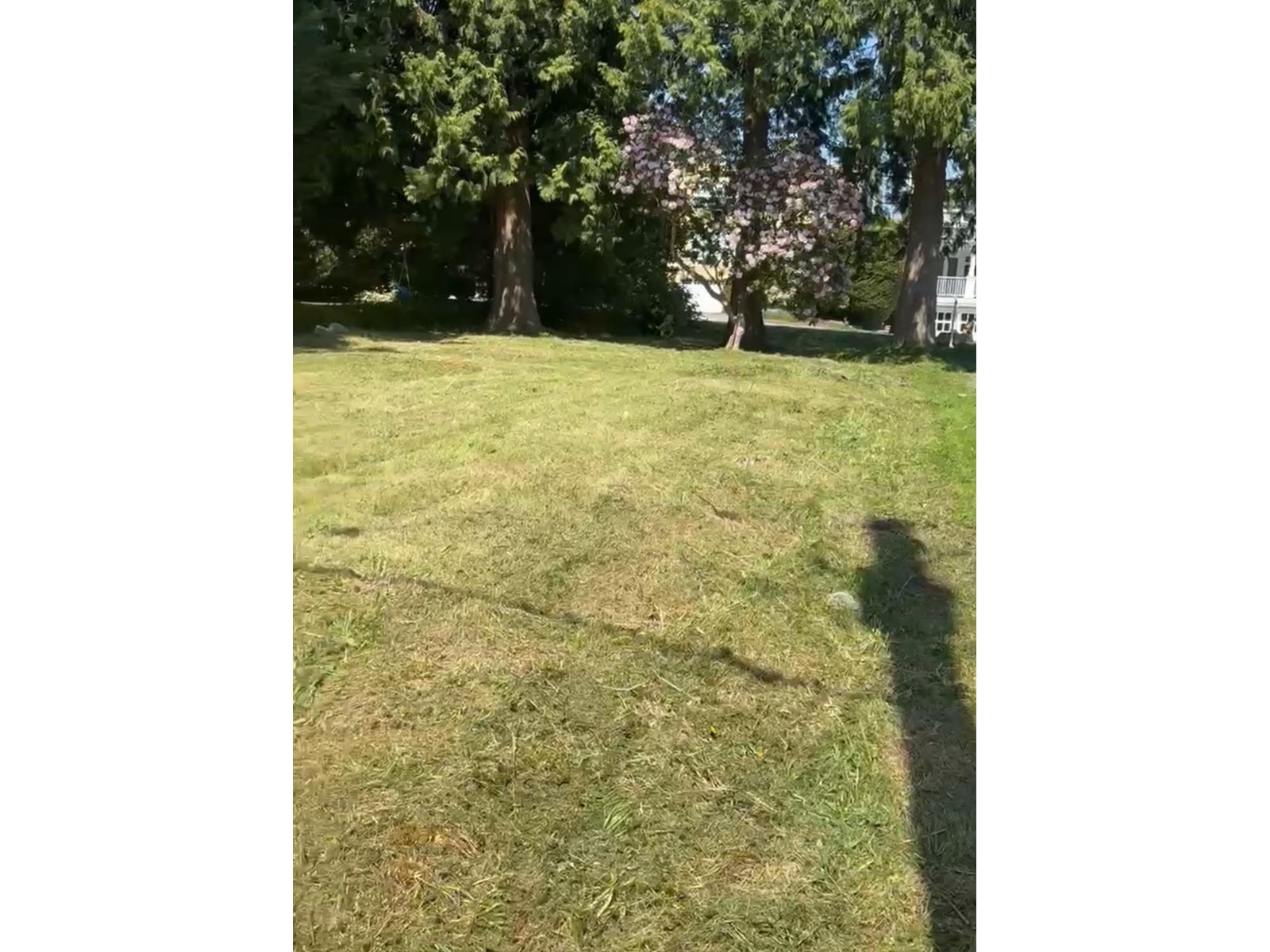 15482 Semiahmoo Avenue Property Photo 2