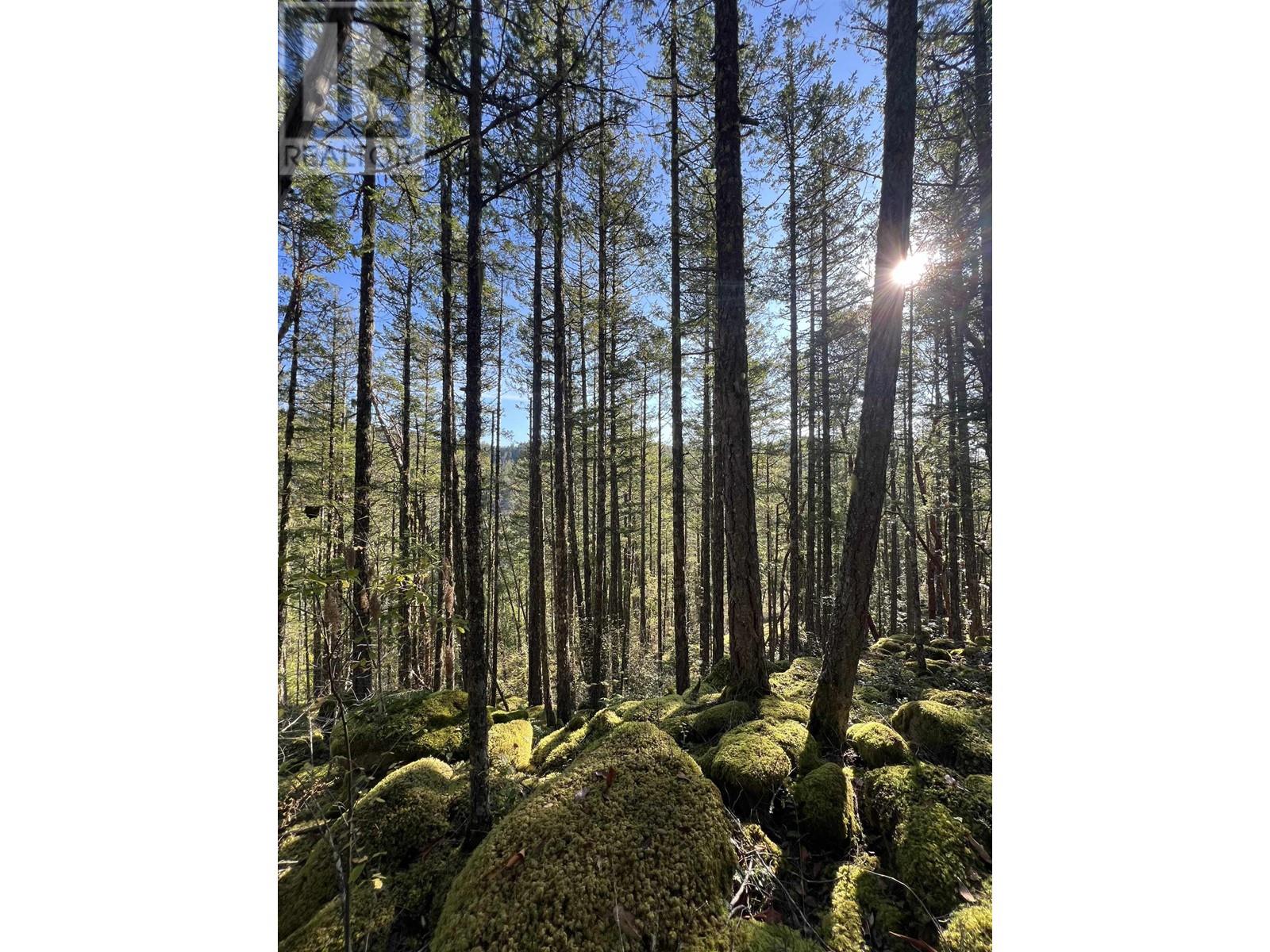 Lot 2 13685 Lee Road Property Photo 4