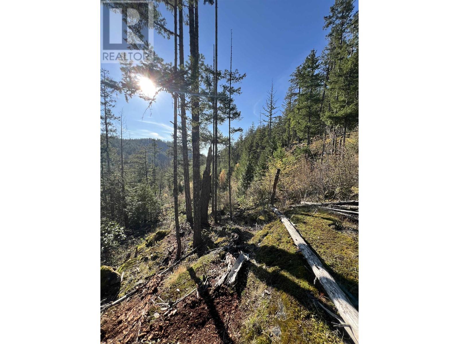 Lot 5 13685 Lee Road Property Photo 6