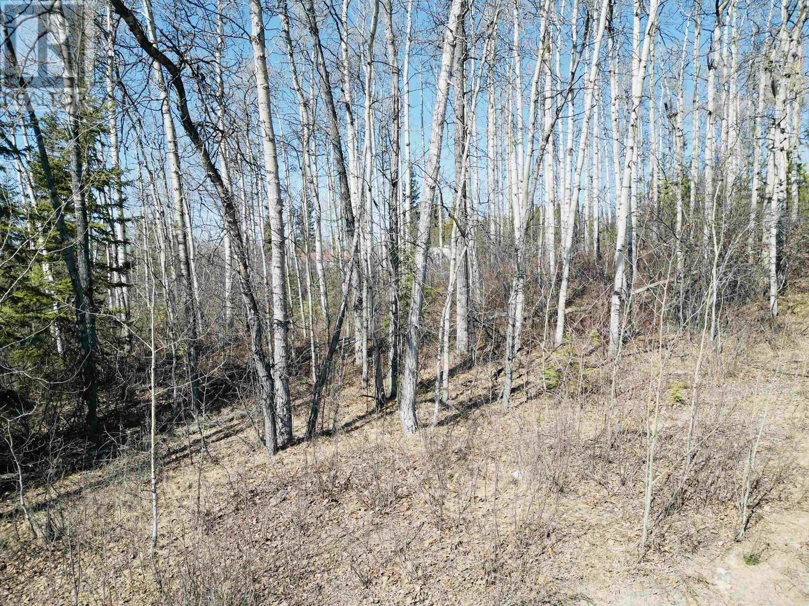 315 Telegraph Trail Property Photo 7