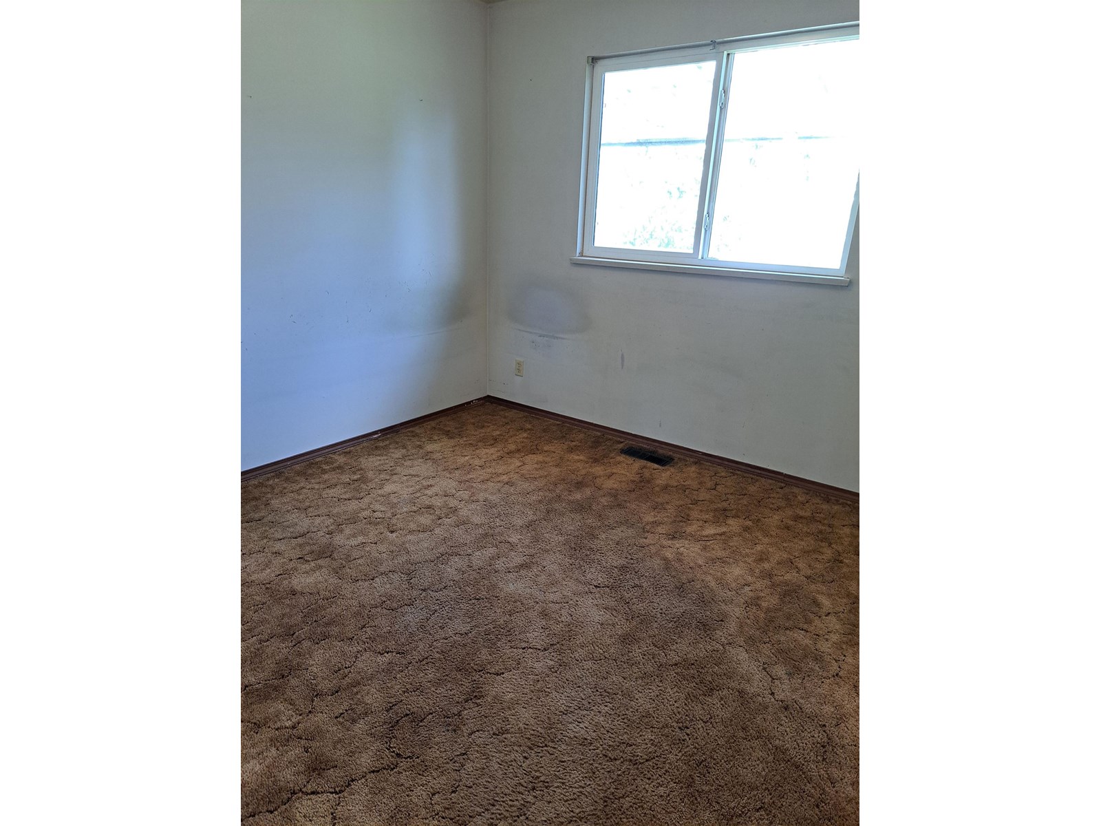 14073 113 Avenue Property Photo 11