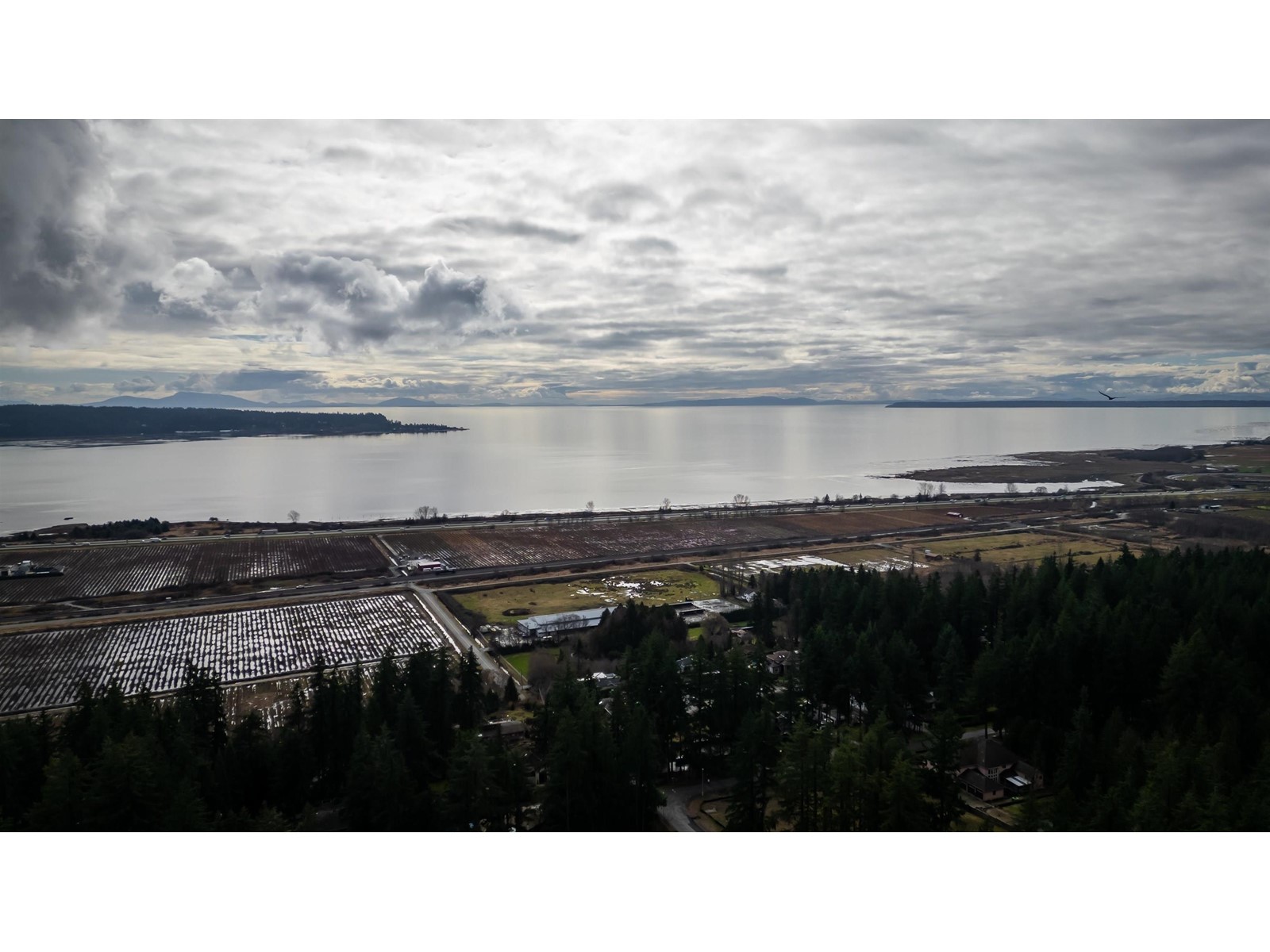Lot 2 12646 54 Avenue Property Photo 3