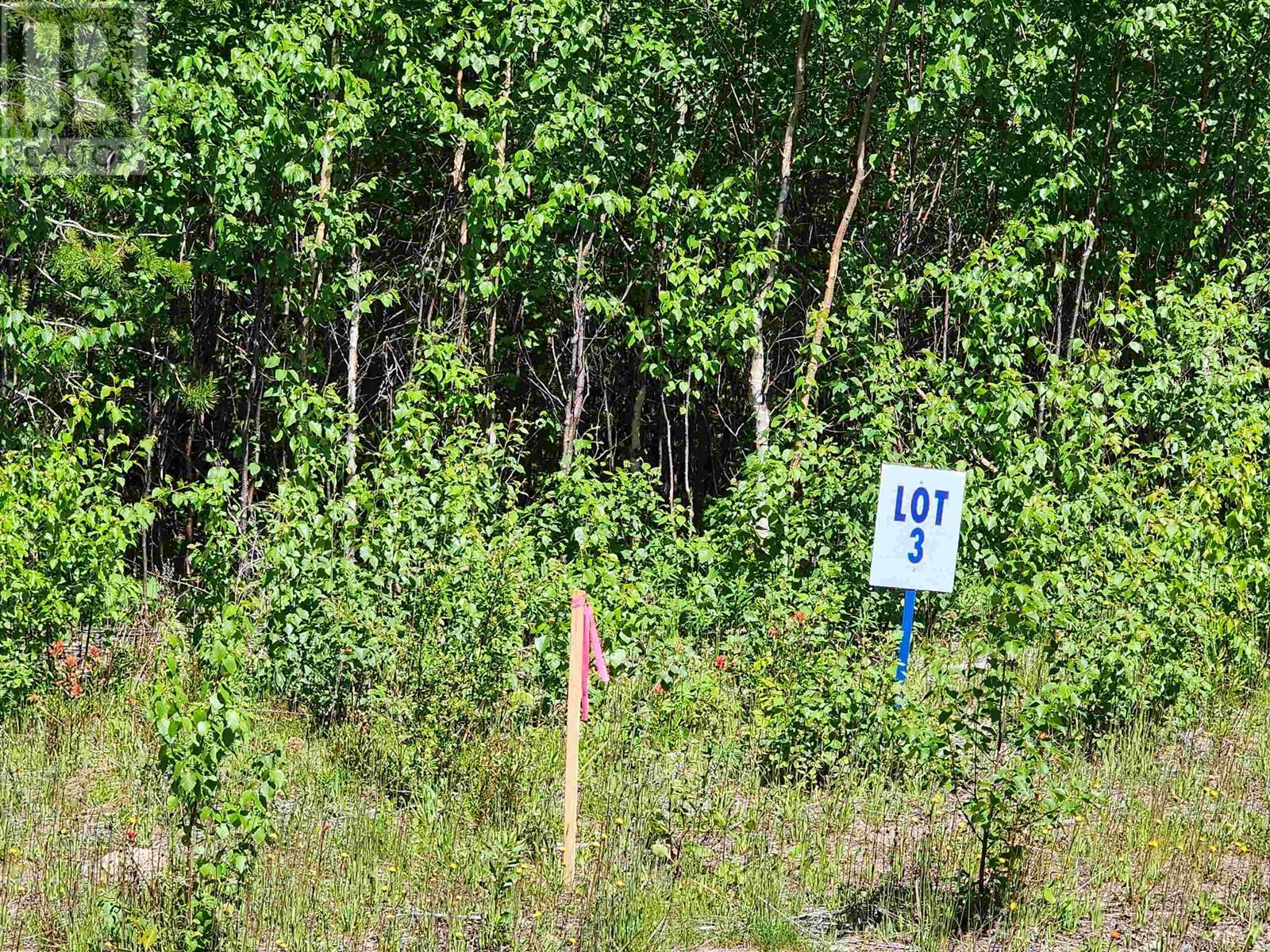 LOT 3 PAMELA ROAD Property Photo 1