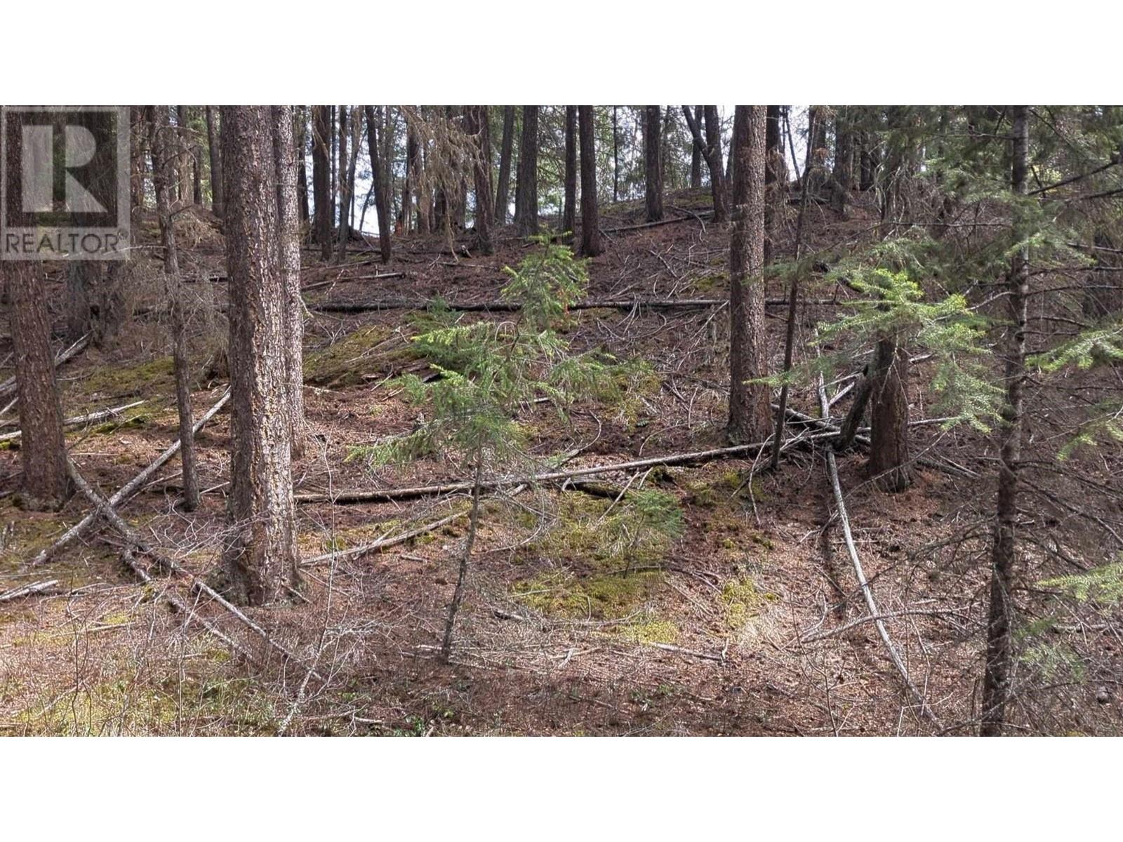 Lot 3 Summit Road Property Photo 3