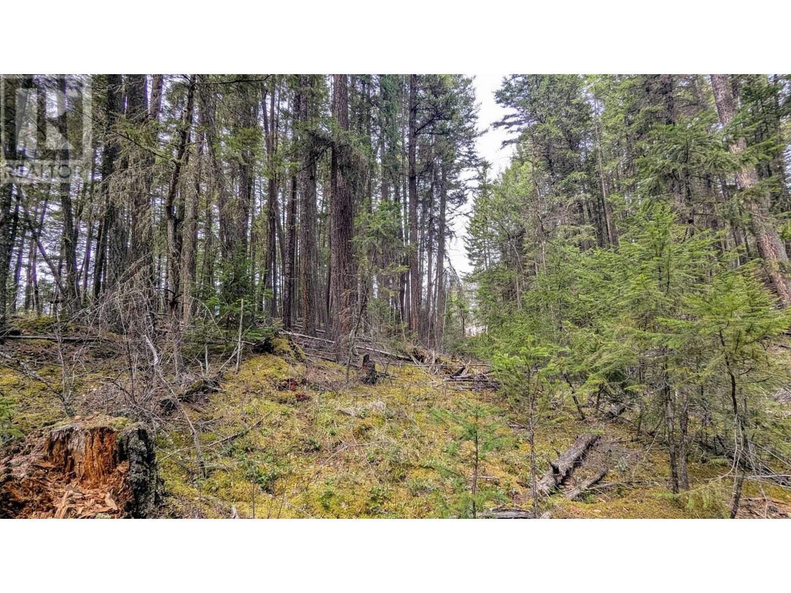 Lot 3 Summit Road Property Photo 7