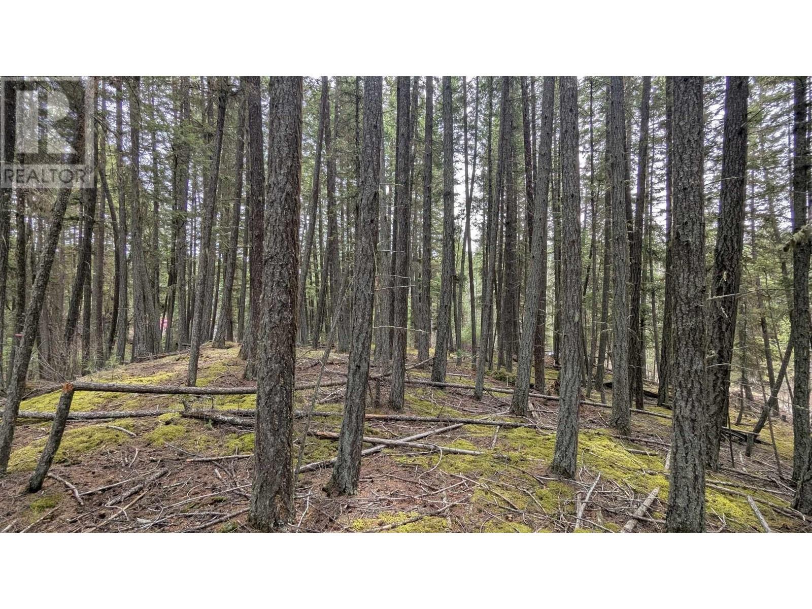 Lot 3 Summit Road Property Photo 8
