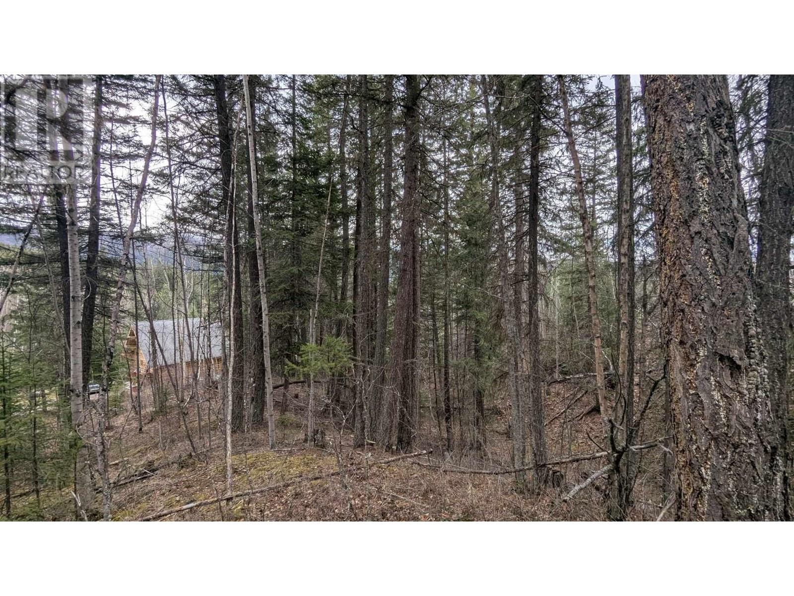 Lot 12 Summit Road Property Photo 9