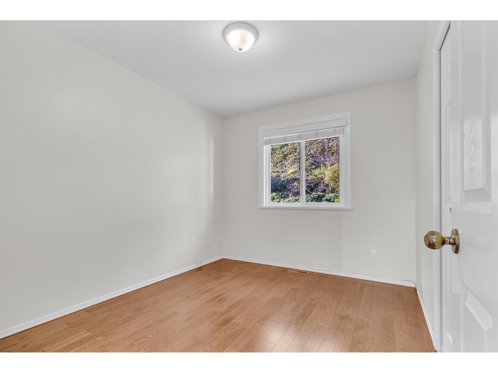 35907 Regal Parkway Property Photo 14
