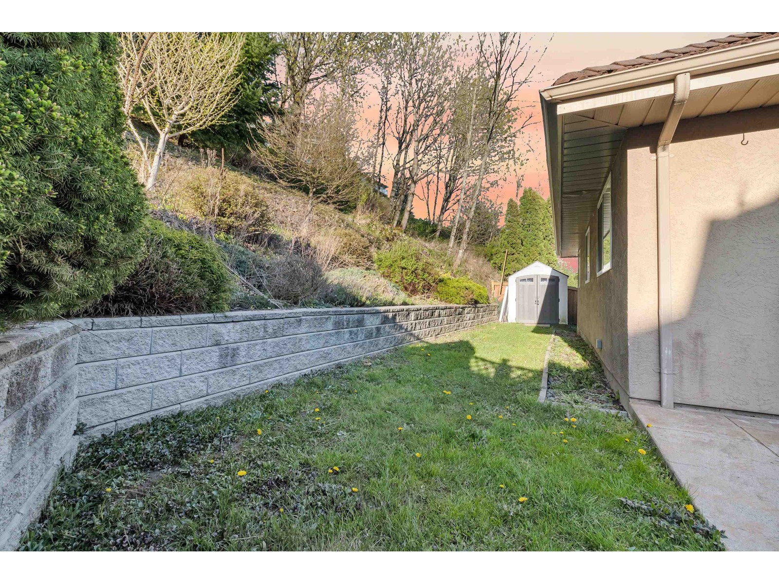 35907 Regal Parkway Property Photo 23
