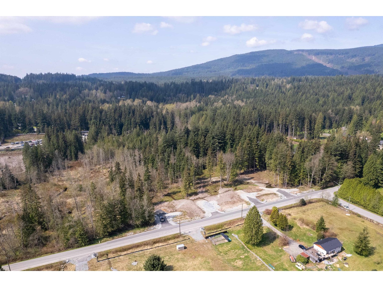 12143 Rolley Lake Street Property Photo 6