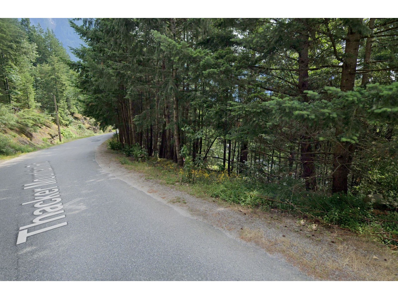 21523 Thacker Mtn Road, Hope Property Photo 6