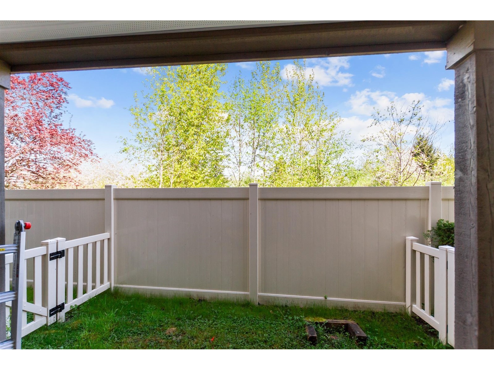 149 20875 80 Avenue Property Photo 23