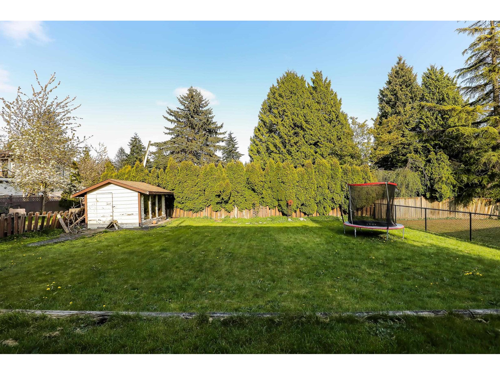 9774 153a Street Property Photo 16