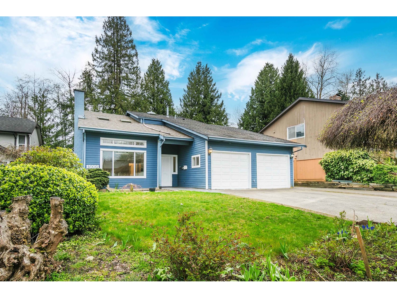 15006 99a Avenue Property Photo 4