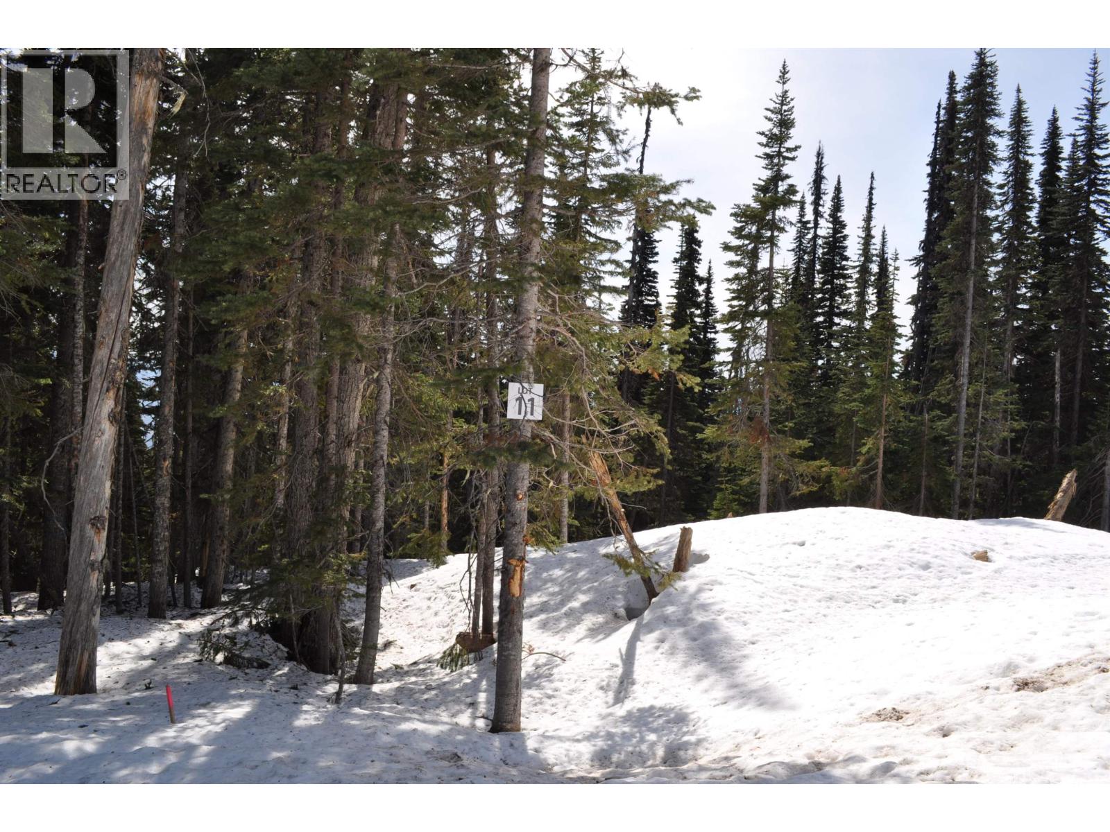 Pr. St Lt 11 Alpine Way Property Photo 1