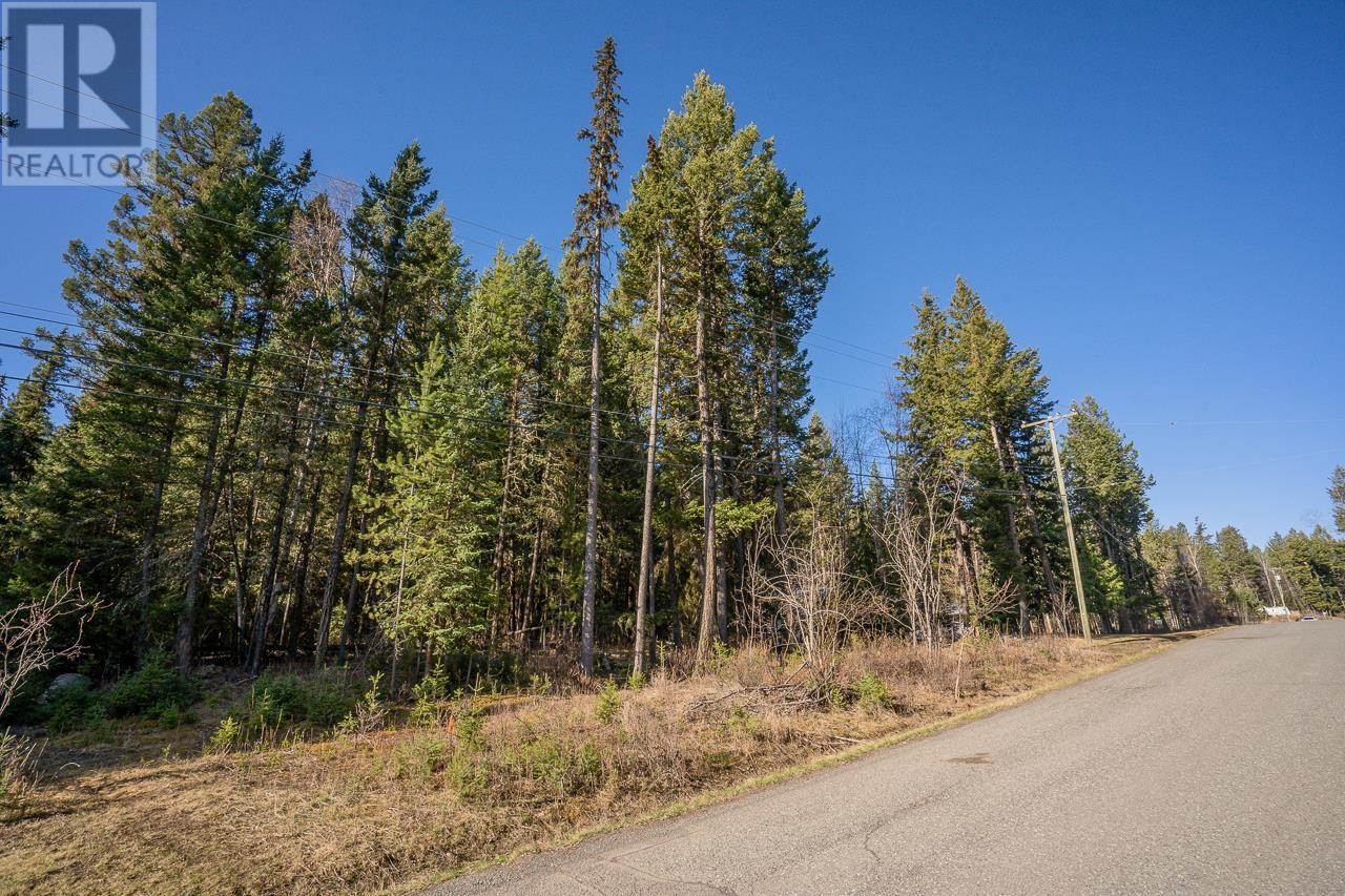 LOT 1 THOMPSON ROAD Property Photo 1
