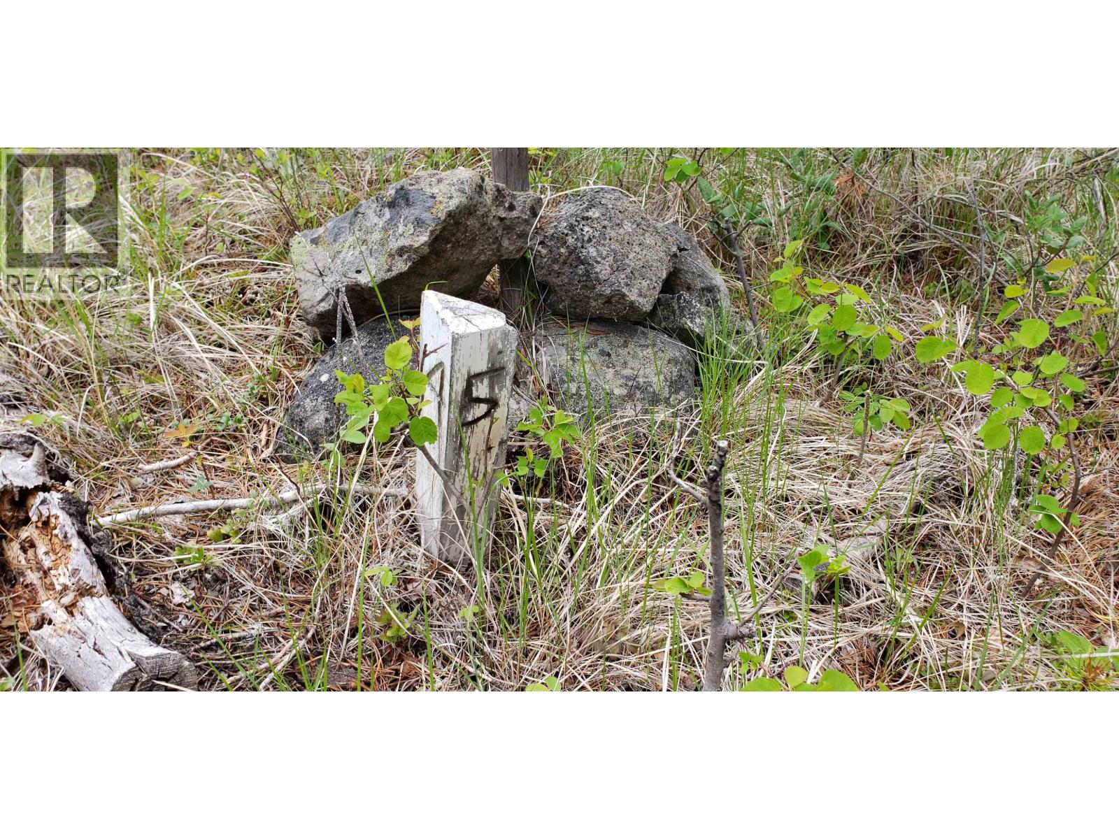 Lot 5 93 Mile Loop Road Property Photo 12