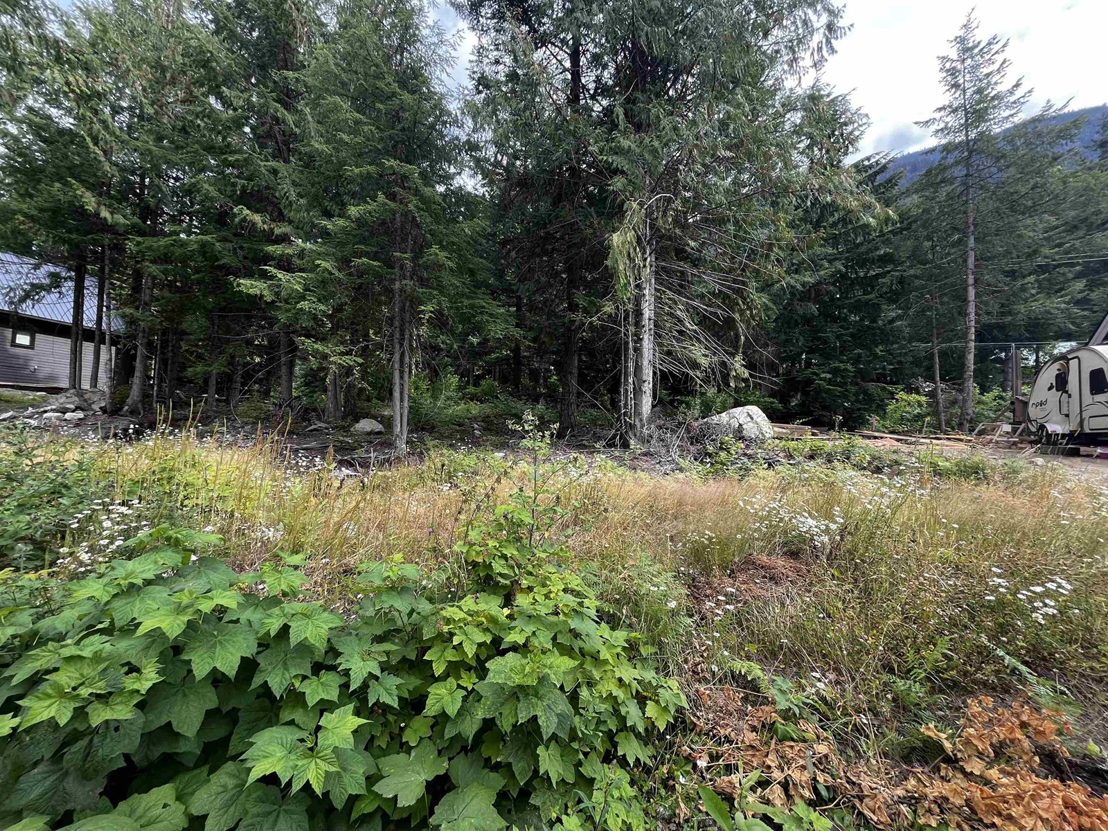 HG136 OLD HOPE PRINCETON HIGHWAY, Sunshine Valley Property Photo 1