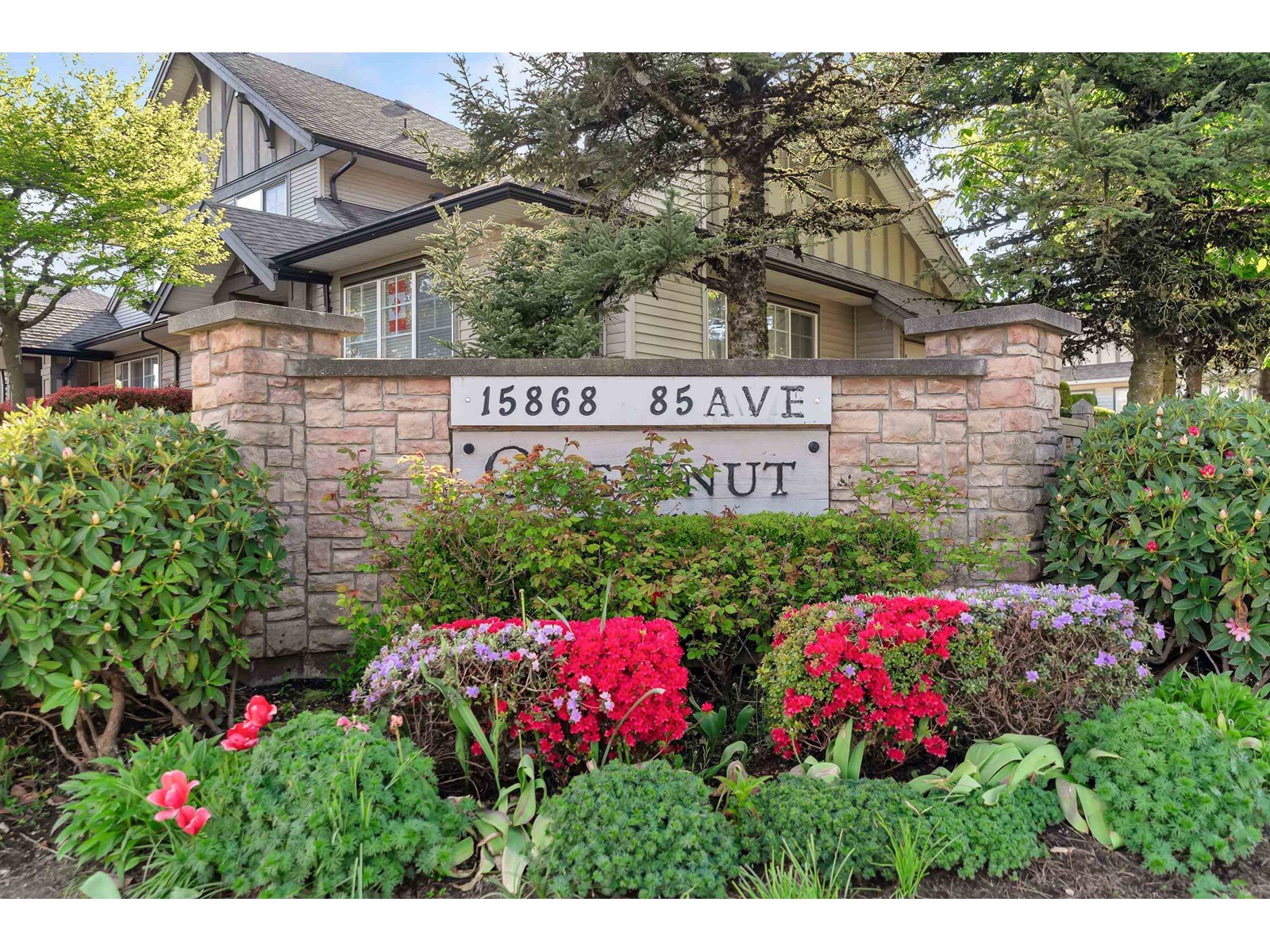 19 15868 85 AVENUE Property Photo 1