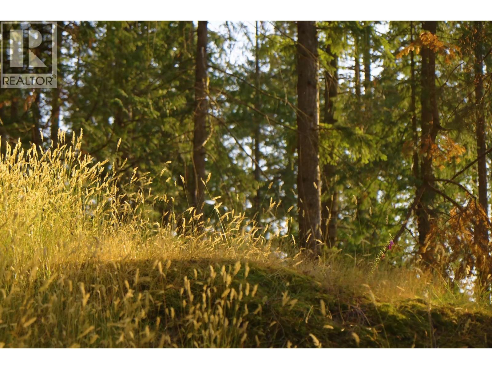 786 Hayes Road Property Photo 5