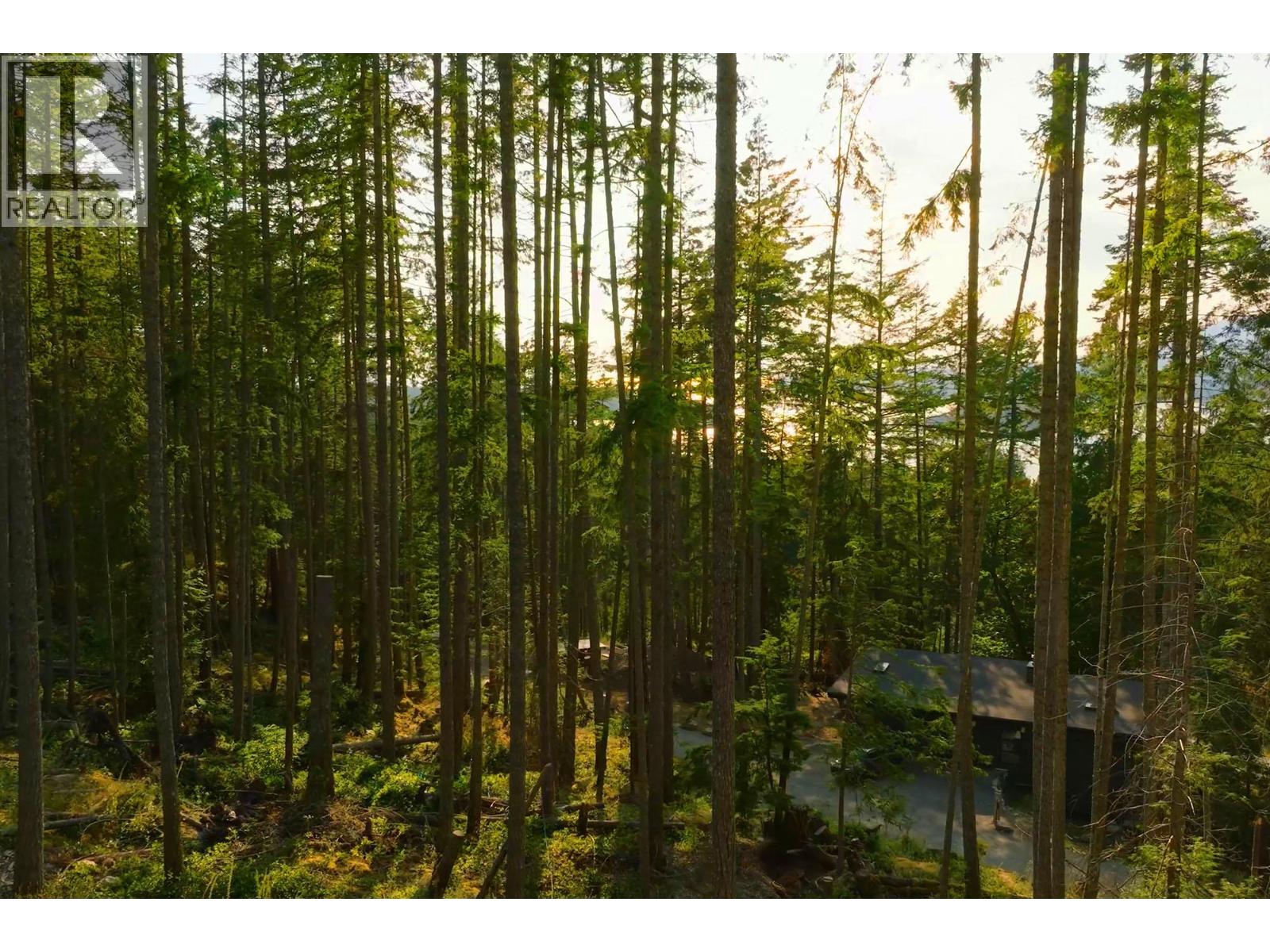 786 Hayes Road Property Photo 6