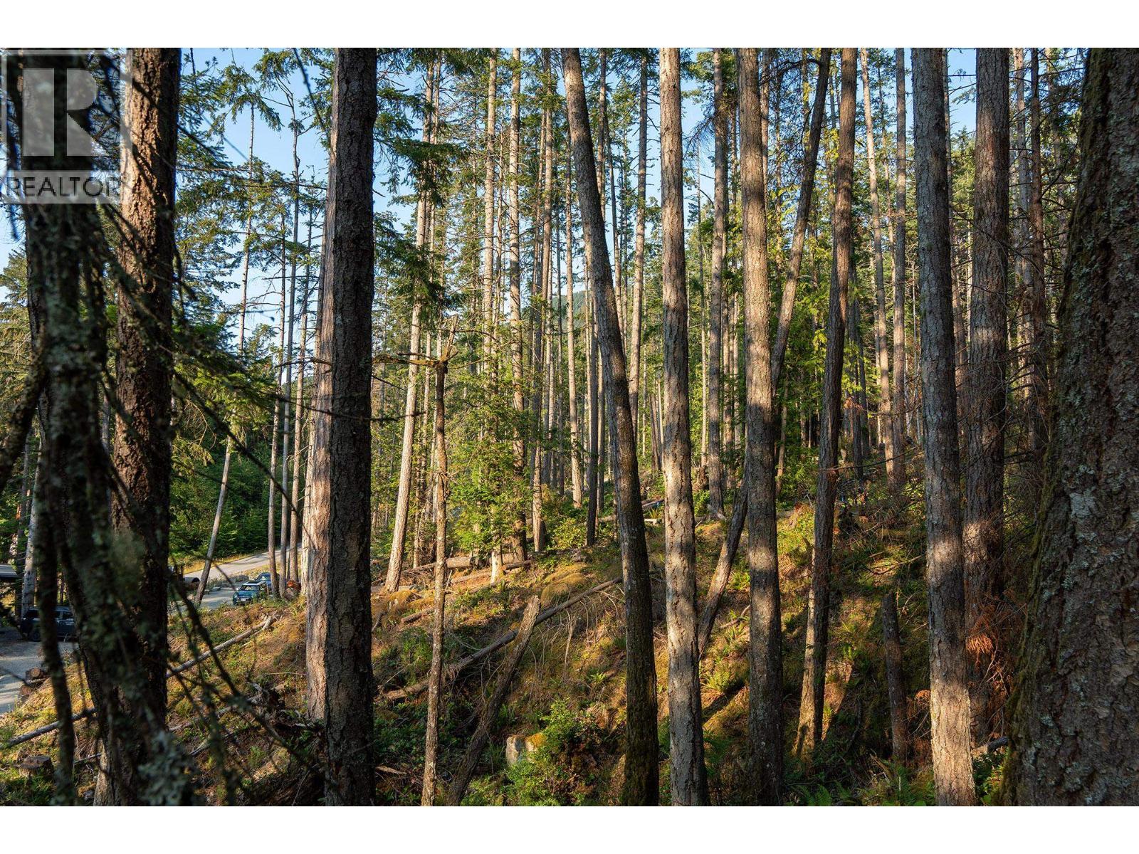 786 Hayes Road Property Photo 7