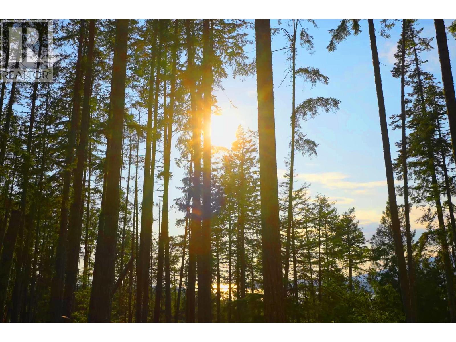 786 Hayes Road Property Photo 10