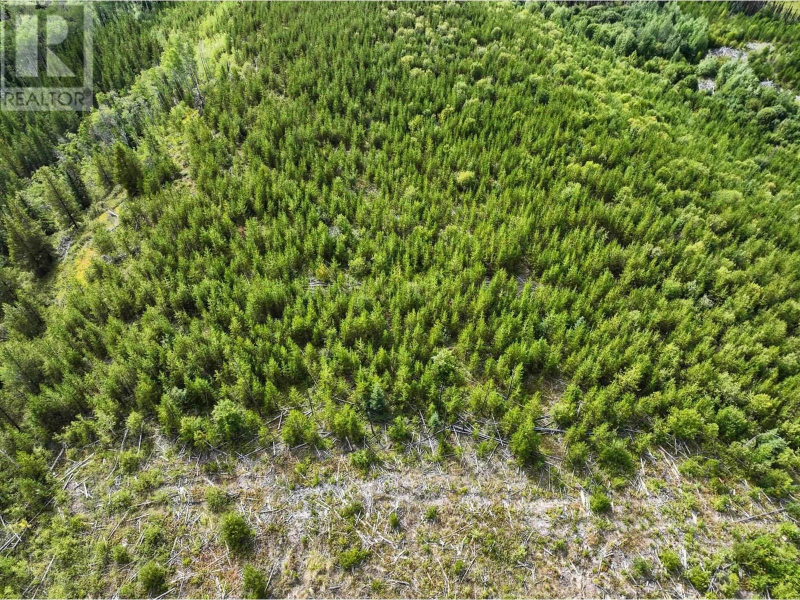 Lot 3 Saxton Lake Road Property Photo 17