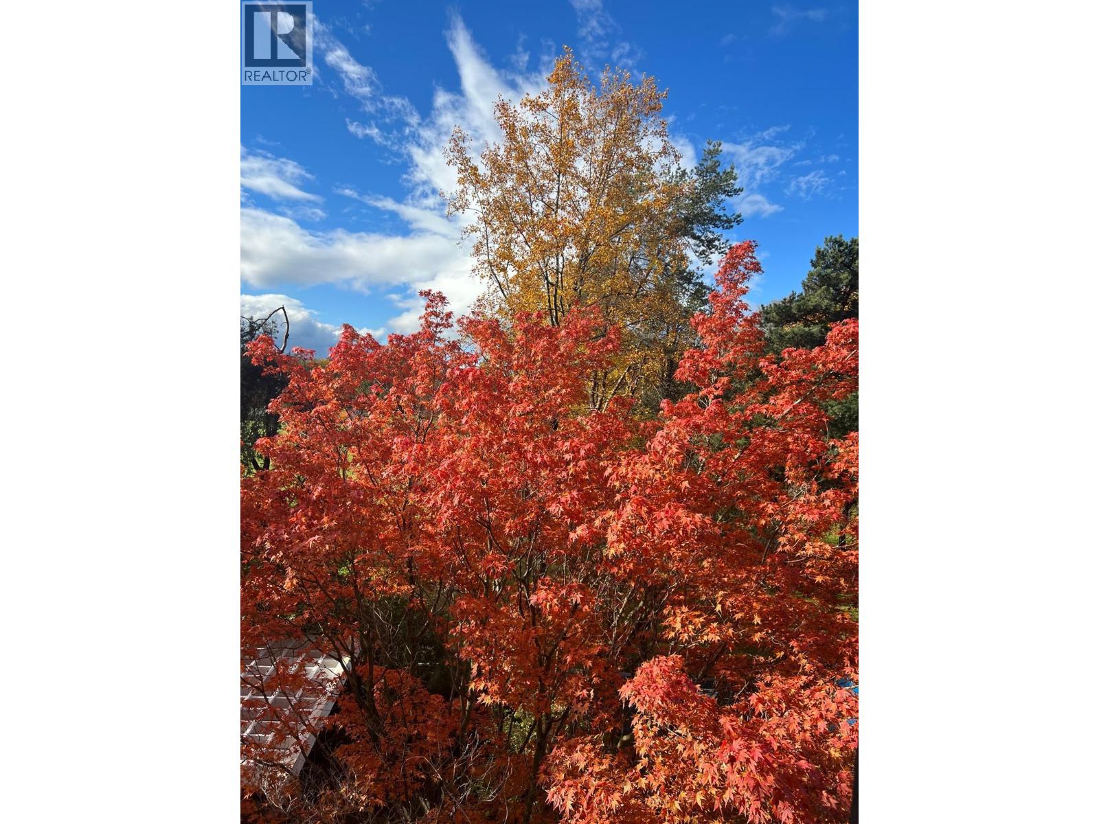 6611 Minoru Boulevard #405 Property Photo 31