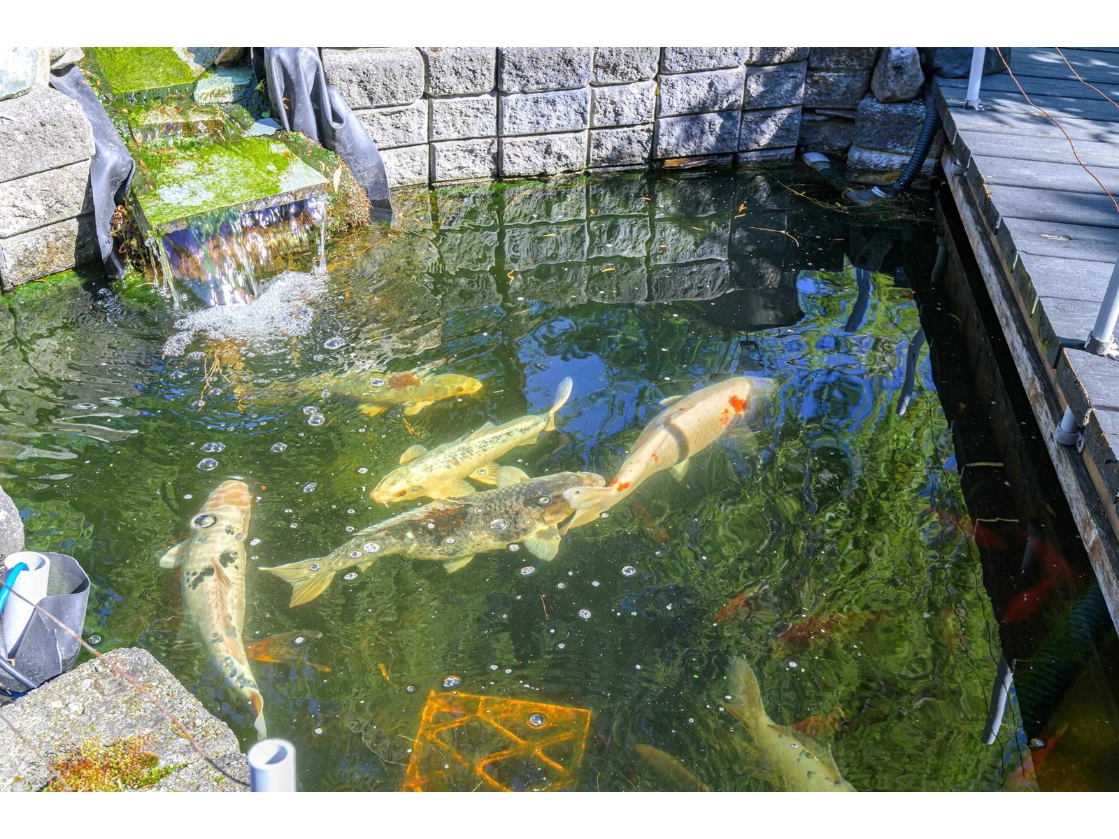 15627 Buena Vista Property Photo 37