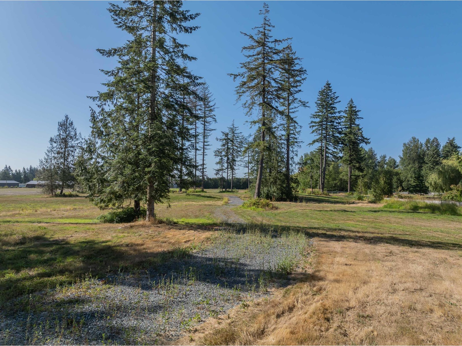 22714 26 Avenue Property Photo 11