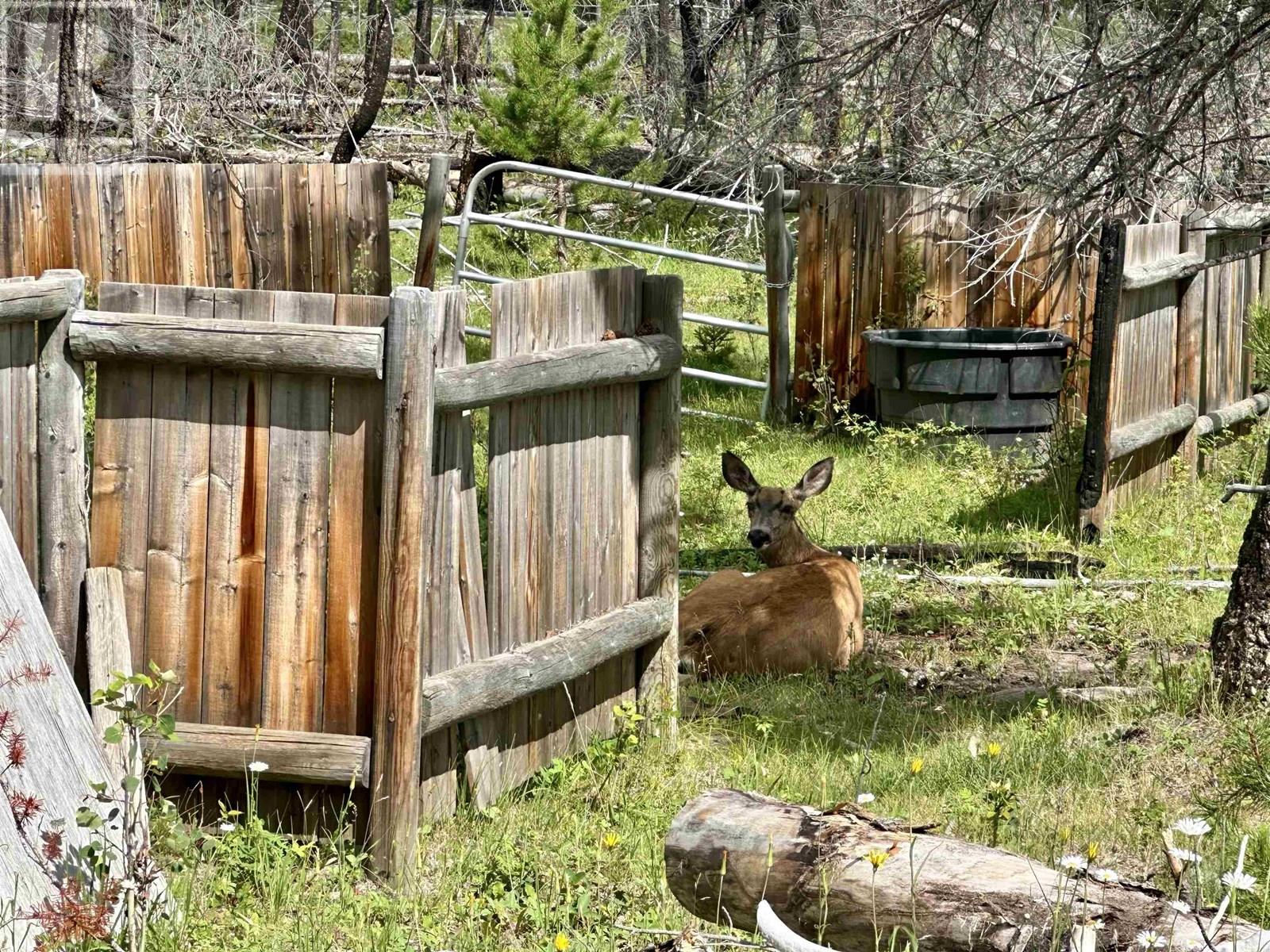 5082 Lily Pad Lake Road Property Photo 16