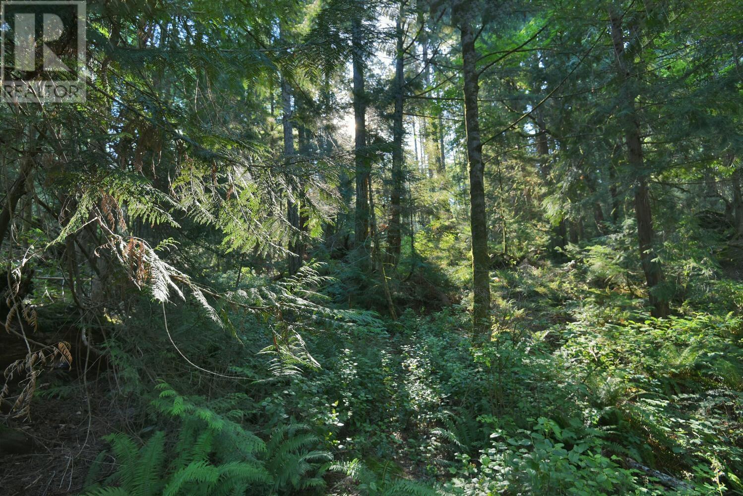 Lot B Francis Peninsula Road Property Photo 21