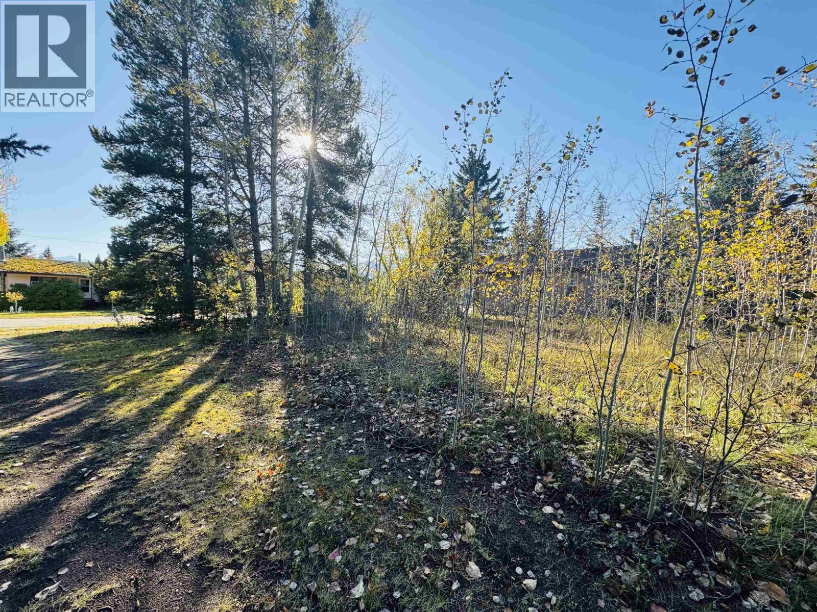 1366 7th Avenue Property Photo 8
