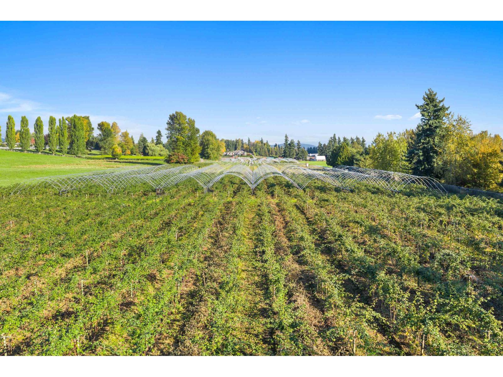 1415 Clearbrook Road Property Photo 10