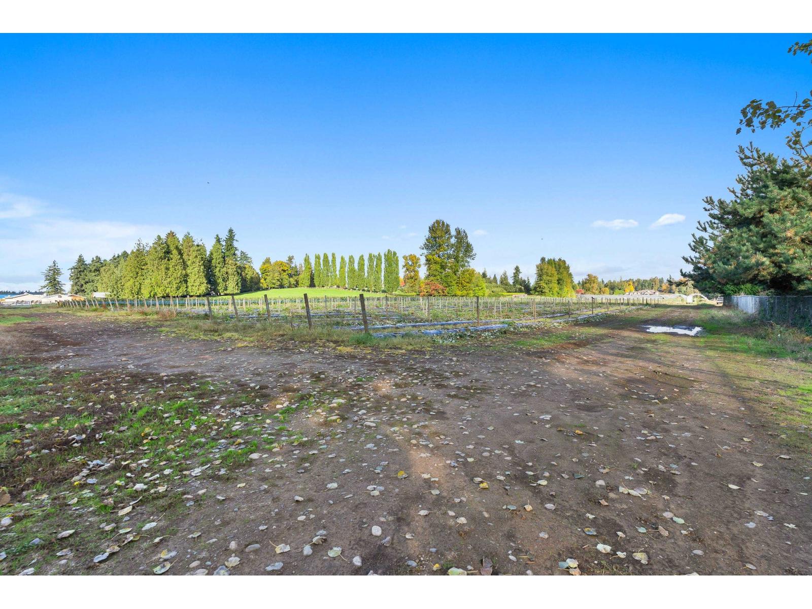 1415 Clearbrook Road Property Photo 12