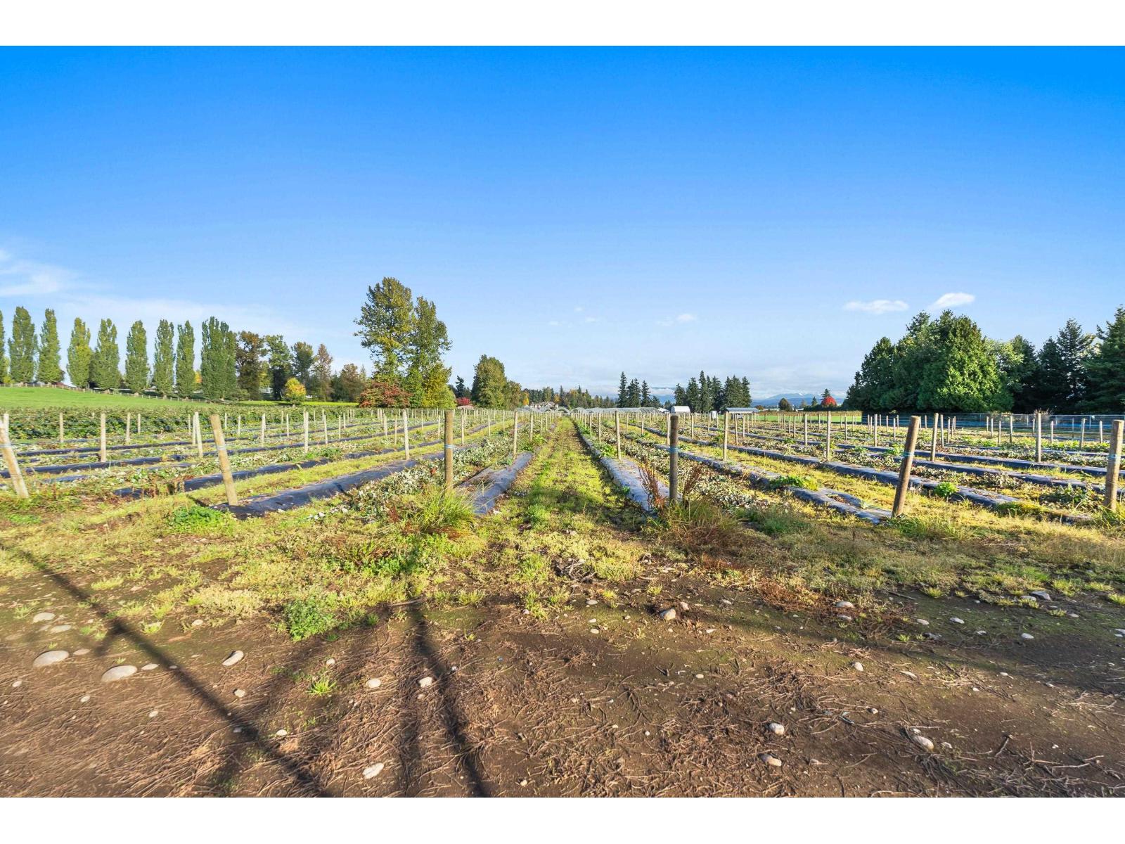1415 Clearbrook Road Property Photo 13