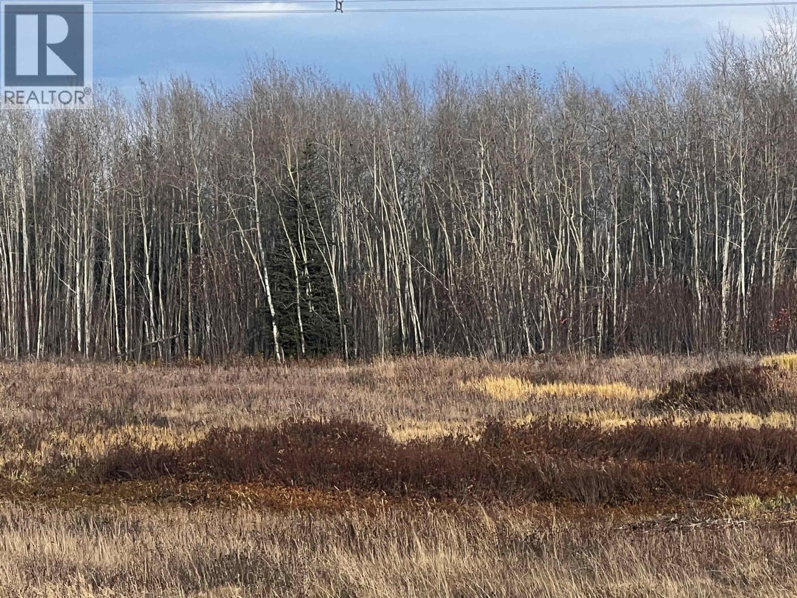 Hart Highway Property Photo 13