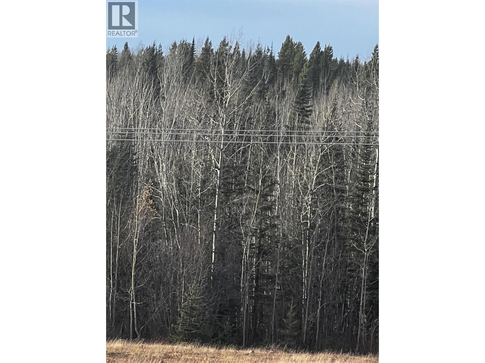 Hart Highway Property Photo 32