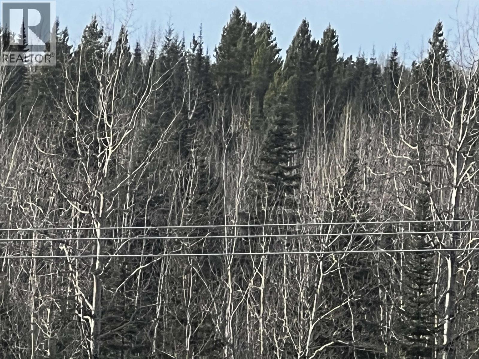 Hart Highway Property Photo 35