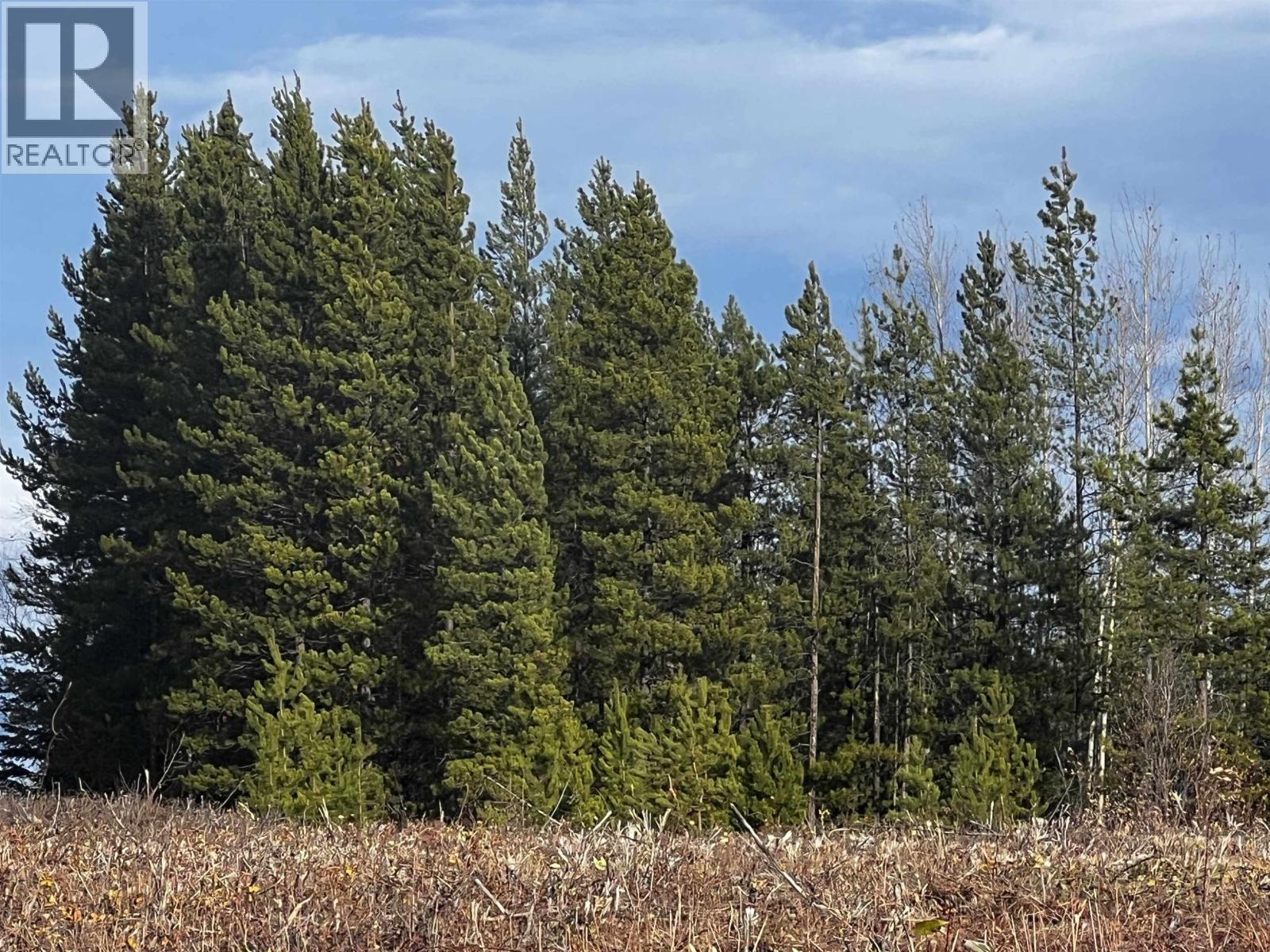 Hart Highway Property Photo 39
