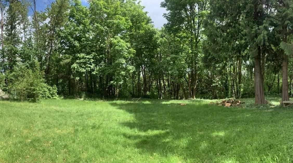 10610 Salisbury Drive Property Photo 3