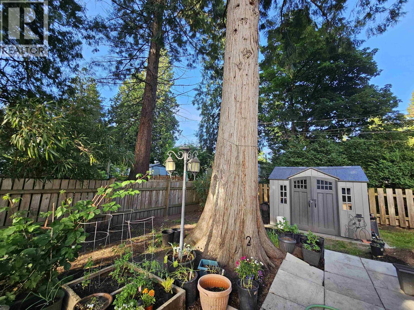 21091 Lougheed Highway #3 Property Photo 27