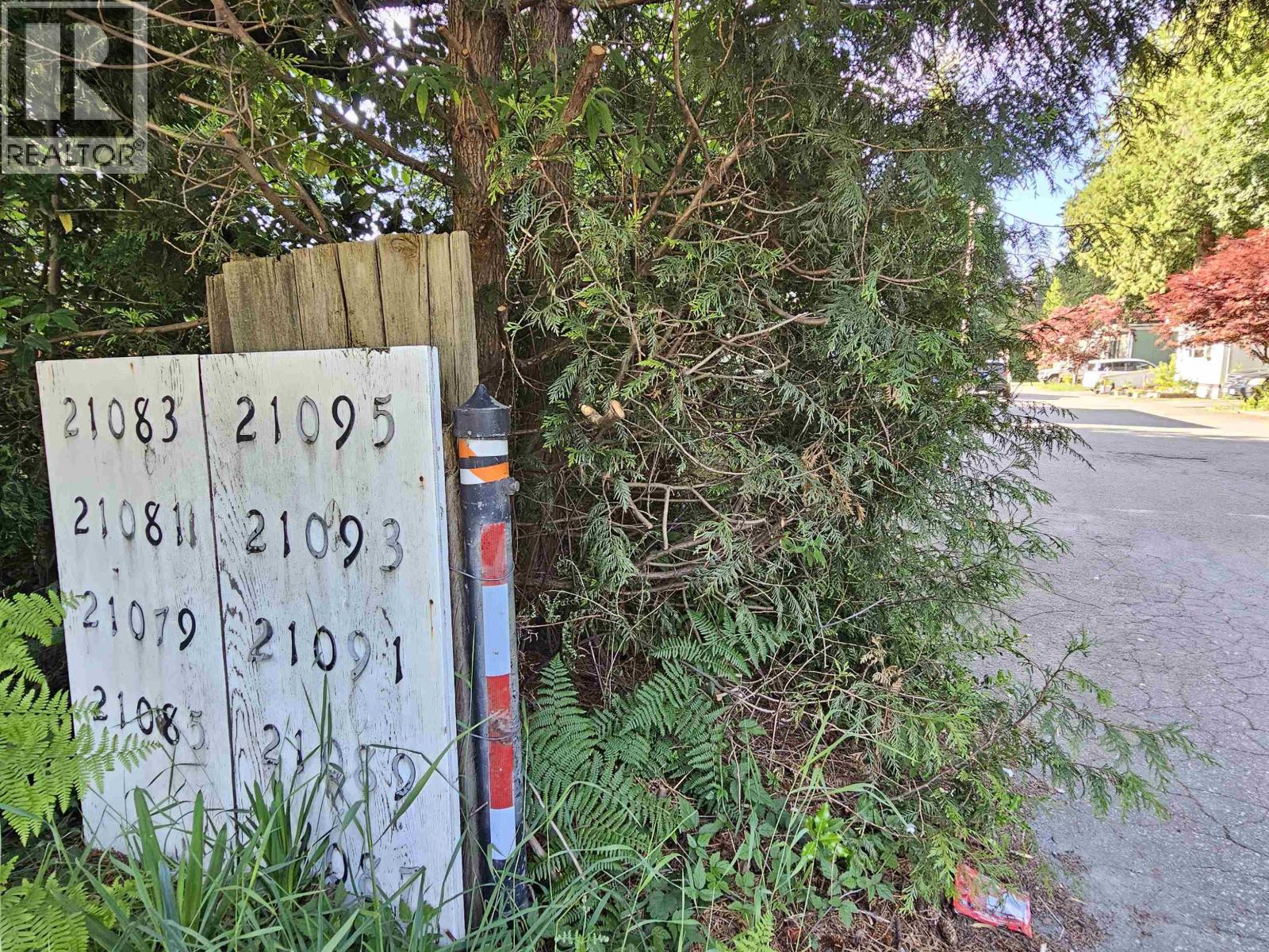 21091 Lougheed Highway #3 Property Photo 29