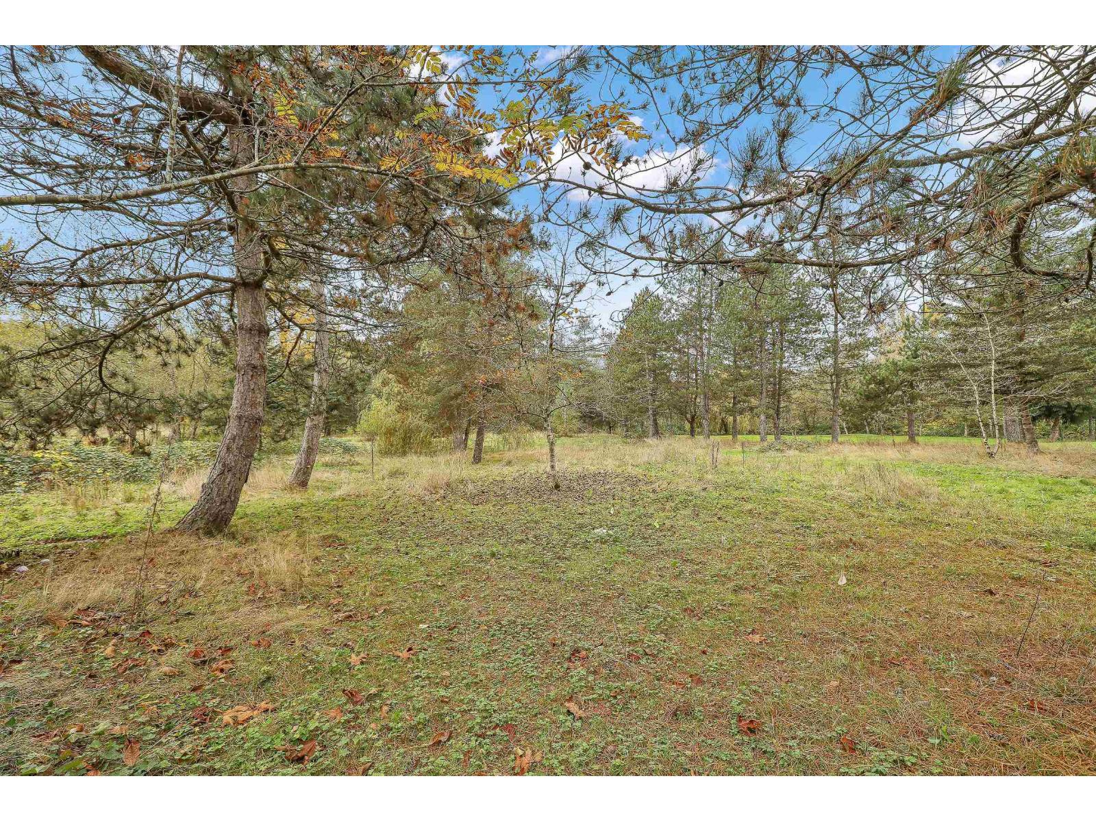 7913 192 Street Property Photo 32